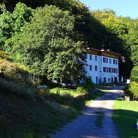 Domaine L'Imperatrice Daire Plombières-les-Bains Dış mekan fotoğraf